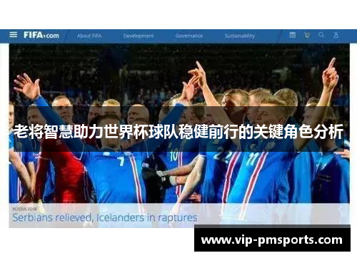 老将智慧助力世界杯球队稳健前行的关键角色分析