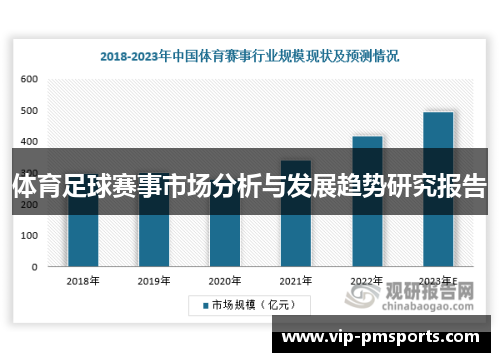 体育足球赛事市场分析与发展趋势研究报告