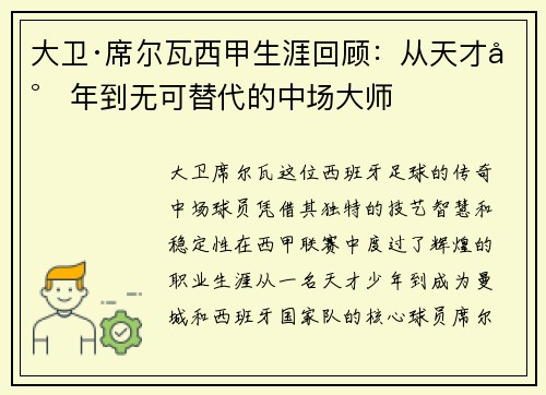 大卫·席尔瓦西甲生涯回顾：从天才少年到无可替代的中场大师
