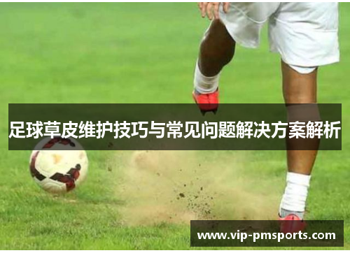 足球草皮维护技巧与常见问题解决方案解析