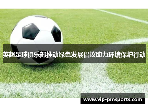 英超足球俱乐部推动绿色发展倡议助力环境保护行动