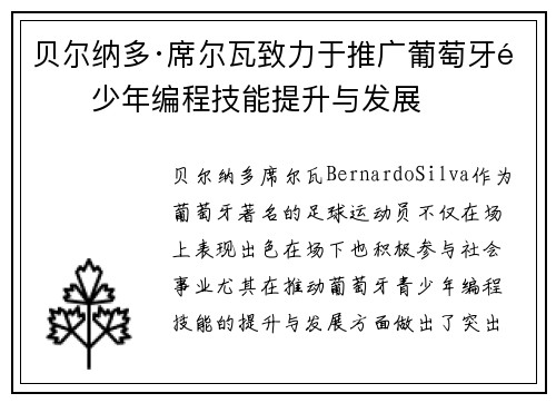 贝尔纳多·席尔瓦致力于推广葡萄牙青少年编程技能提升与发展
