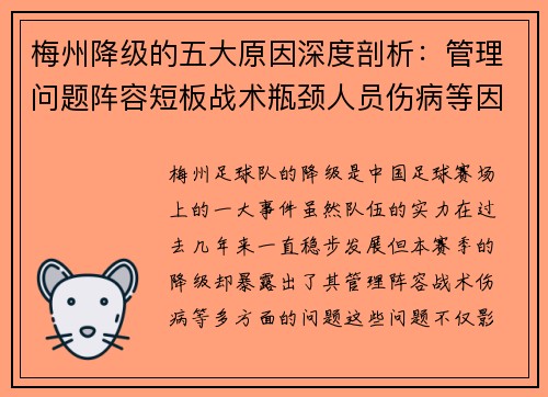 梅州降级的五大原因深度剖析：管理问题阵容短板战术瓶颈人员伤病等因素的综合影响