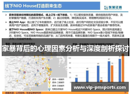 家暴背后的心理因素分析与深度剖析探讨