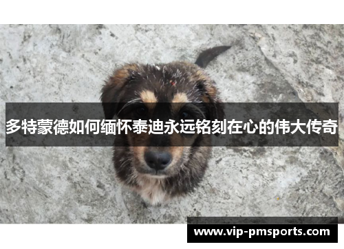 多特蒙德如何缅怀泰迪永远铭刻在心的伟大传奇