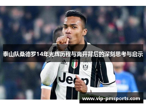 泰山队桑德罗14年光辉历程与离开背后的深刻思考与启示
