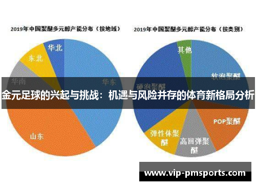 金元足球的兴起与挑战：机遇与风险并存的体育新格局分析